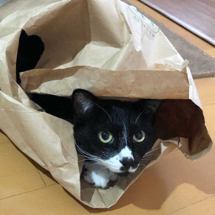 0d1665fc 3298 4f82 8e8a d12a6b9ab566 1600918955188