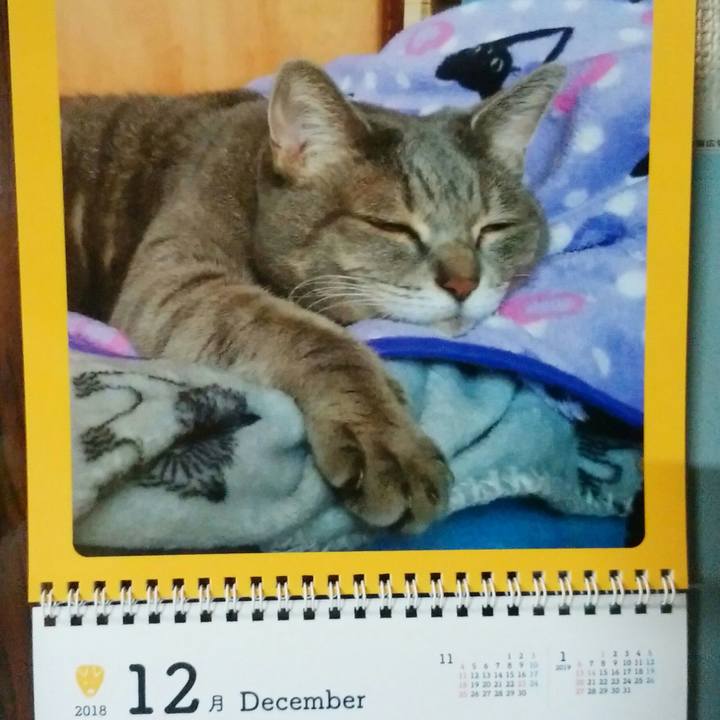 0d166bb5 21ea 4321 ace7 1a42769a783c 1543659230819