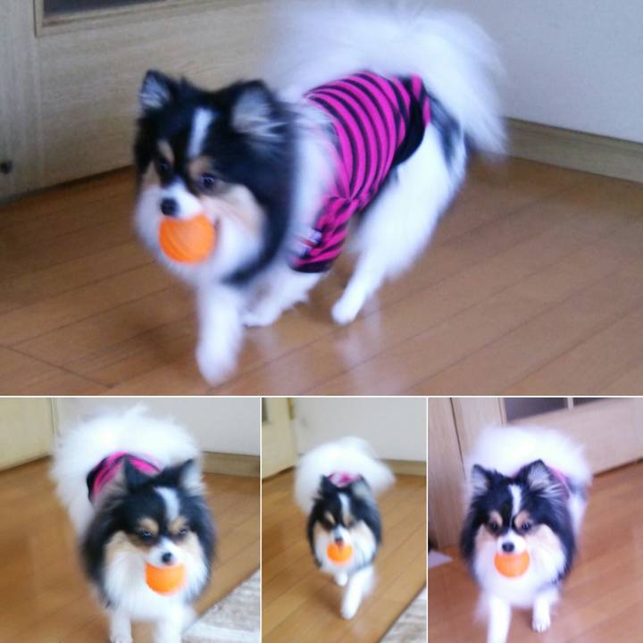 0d168dcc 07d0 4464 817a 3143fdaec5ef 1515896432520