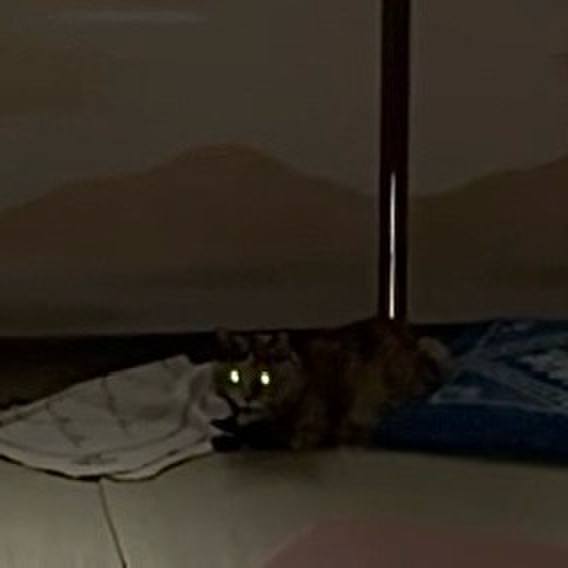 0d16f88b 2cdd 4d02 b822 5c7acfa5498f 1761076561142