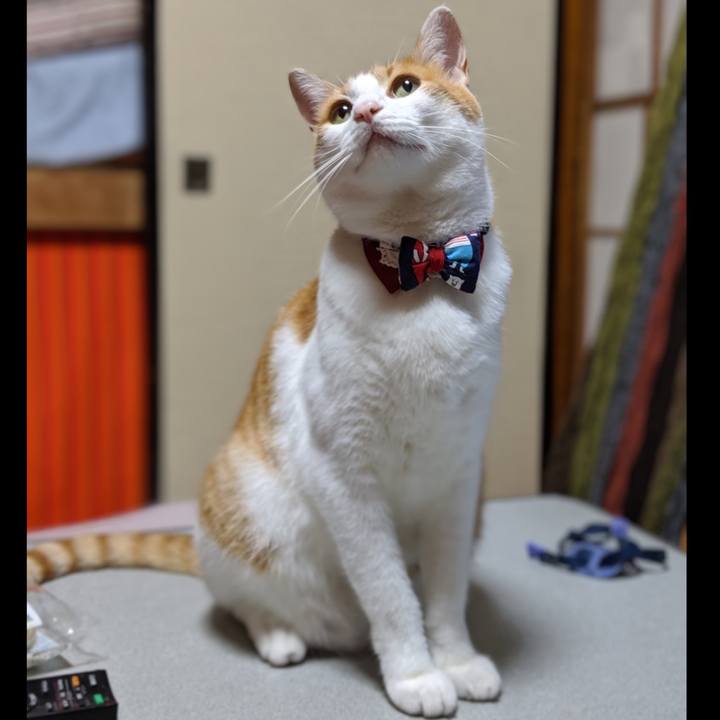 0d171b0c d6b9 4f38 9cfe 87b983a5ffca 1565957062743