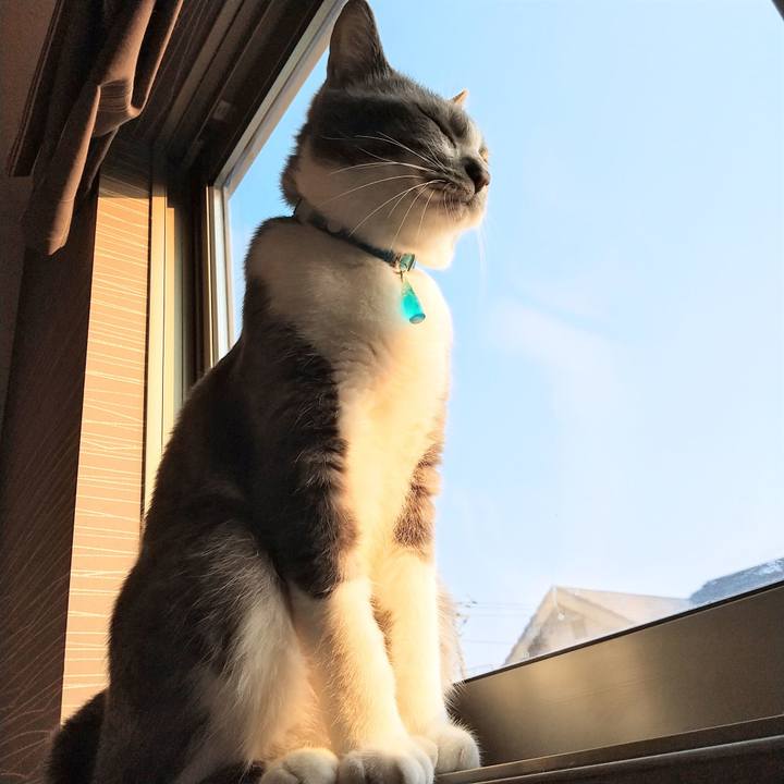 0d1721be 07bf 4af4 a246 b7134d564a97 1623271588445