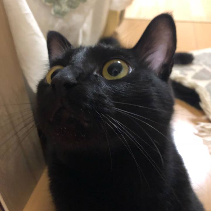 0d174eac ebf5 4a40 9ad3 2c71390a1b89 1533056907016