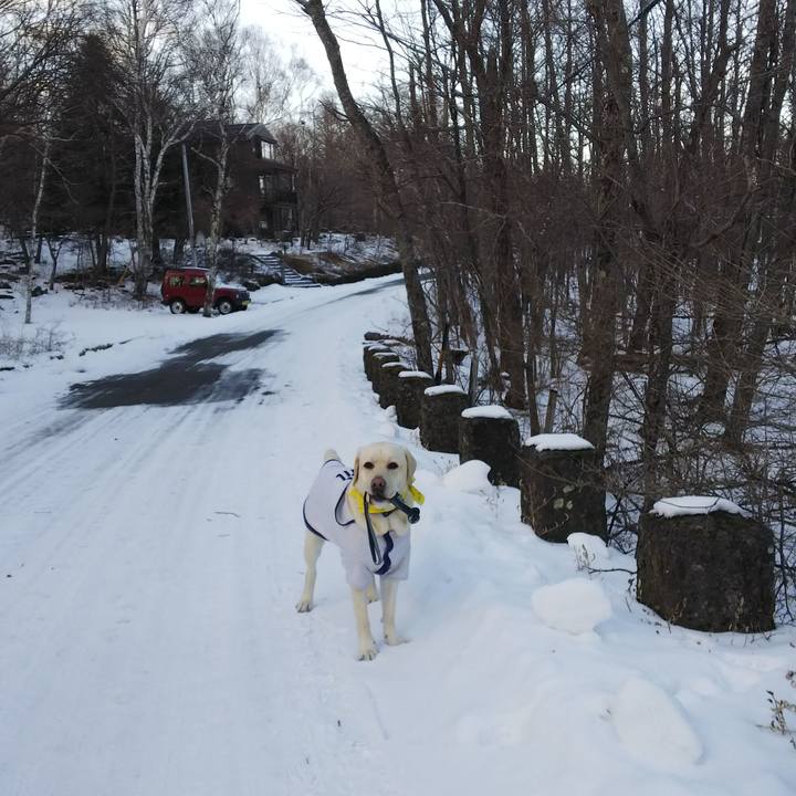 0d1766b1 7272 4ab2 b40e 1492e60f5ae2 1514875873347