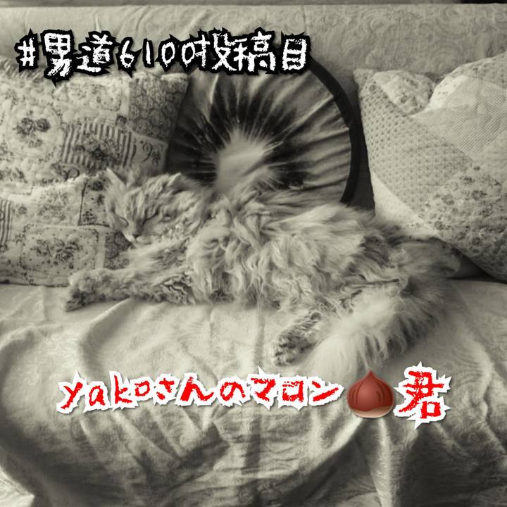 0d1781f9 c41d 4212 b11f 25a2e0242d6f 1586594893205