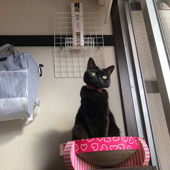 0d178617 922e 4d38 a302 2d543227ecd1 1613263439652