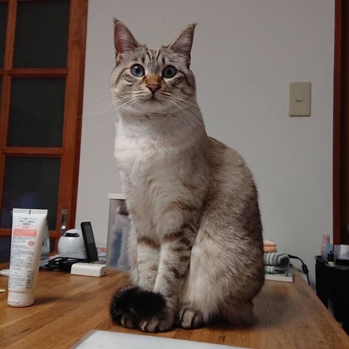 0d17b87e 50cf 413b a21a 155c6fe27d61 1512925281825