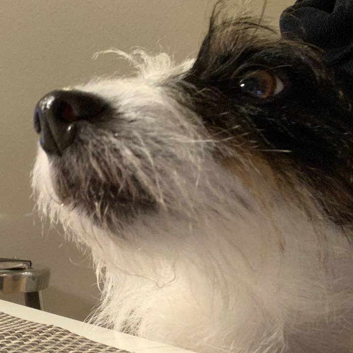 0d17e726 2ec2 44ff 9dc6 f3d3a8a47697 1642152962419