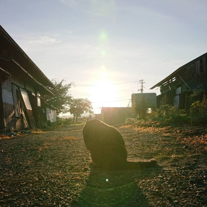 0d181f1d b21f 4c11 8f1b d7c77da4affc 1662419962735