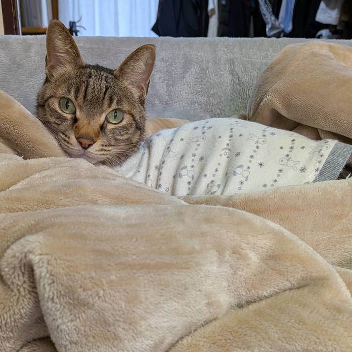 0d183a49 708d 4724 9f2f 180a86c030ed 1774167512907