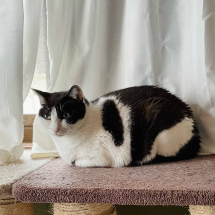 0d184103 2887 4dfd a7d5 870b80813467 1656553380541