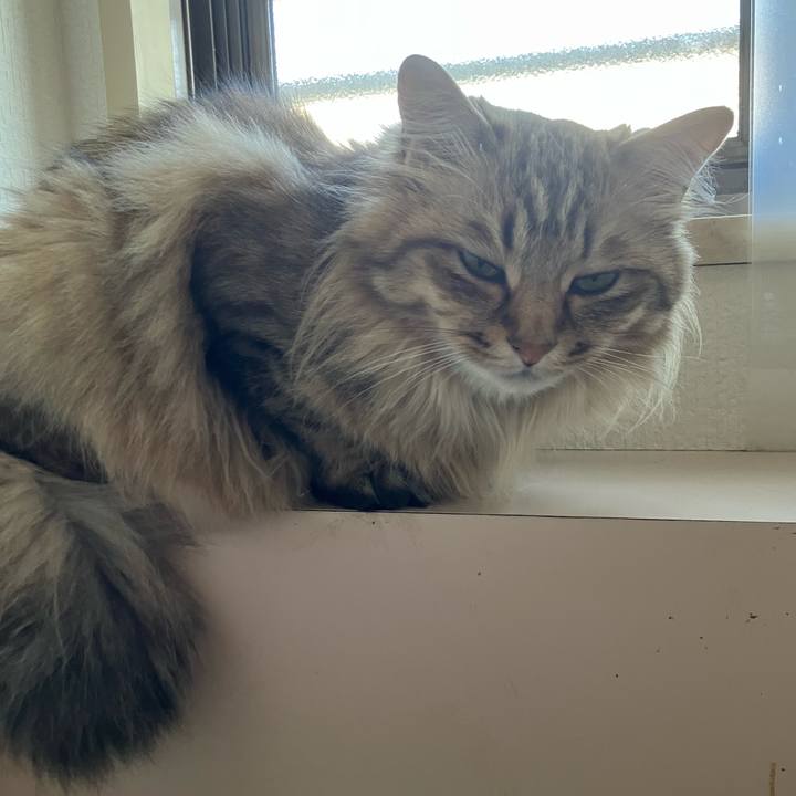 0d18a5c2 fc3d 47b9 a90f 3569c12ade2b 1749776016510