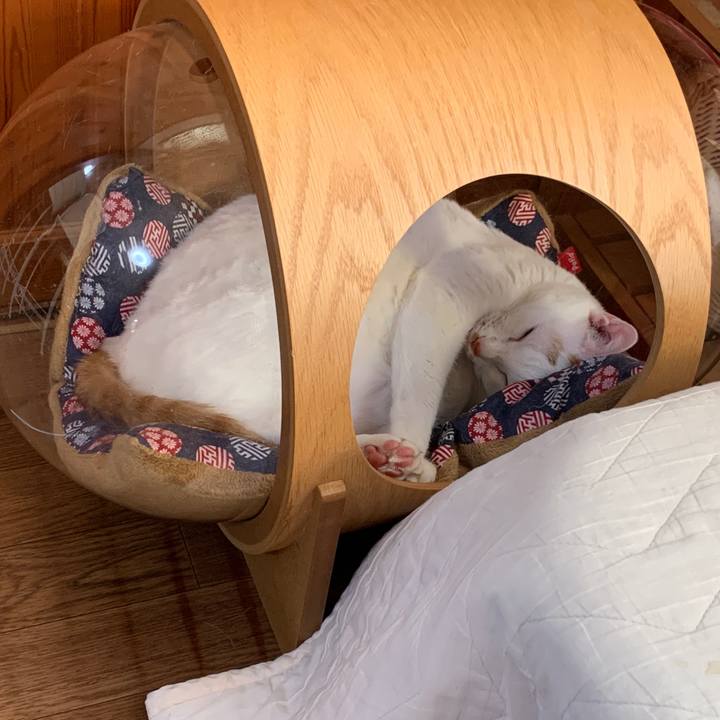 0d18b42a 72ba 4cb7 b229 f0e86ddf2722 1651443048459