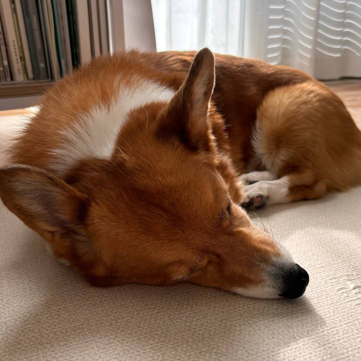 0d18bfc8 64ee 4c68 869b 944428a8bf25 1731298034632