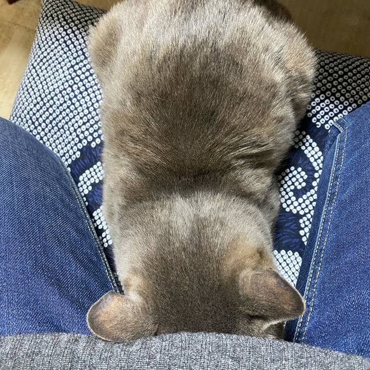 0d18c3b8 fdc8 4850 b853 147baecf5a92 1583418785651