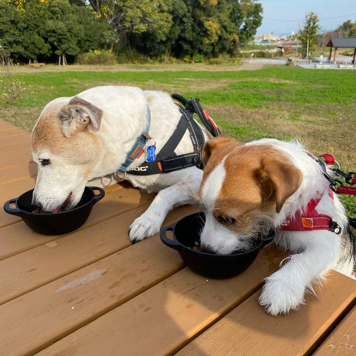 0d18dc44 47f7 4aef 8eb7 cec5df0b2940 1637456460545