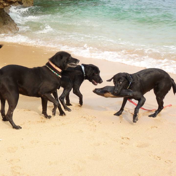 0d18e31c 36f1 4d18 a419 bb79e977ec13 1529734426331