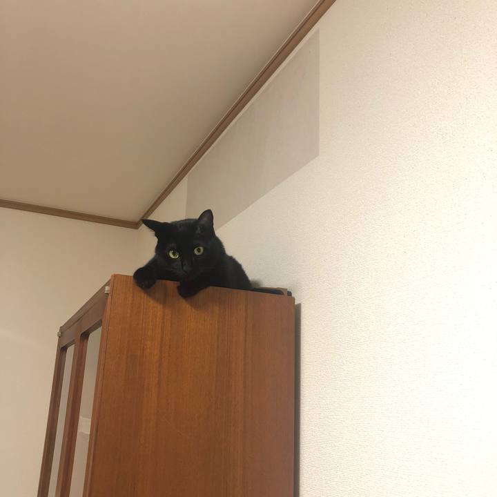 0d18f8a0 879e 4e4c a57f e3f9330915b8 1559915349573