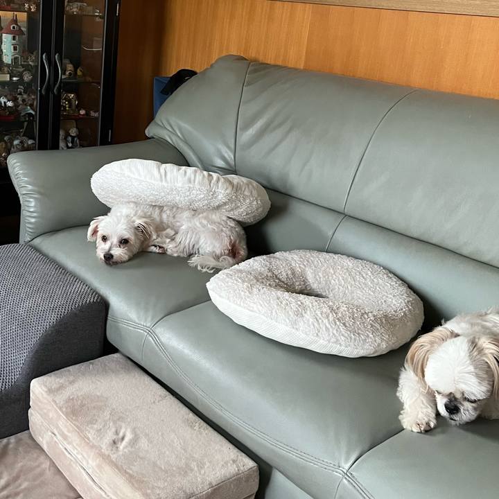 0d190122 1527 4d53 aee9 89294d16f095 1758766038154