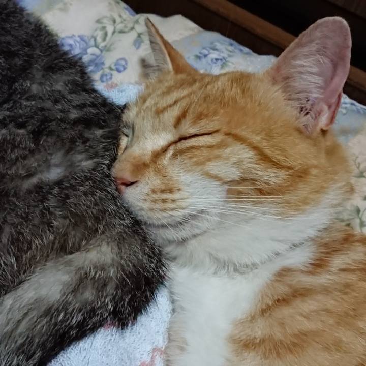 0d192b61 a47e 468f 9f80 9e51d9c07a87 1590411051511