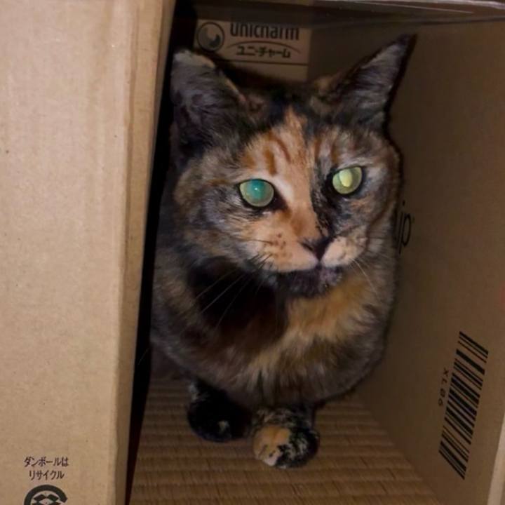 0d19351c 5c23 4a2f bfc9 df4779013369 1746388413716