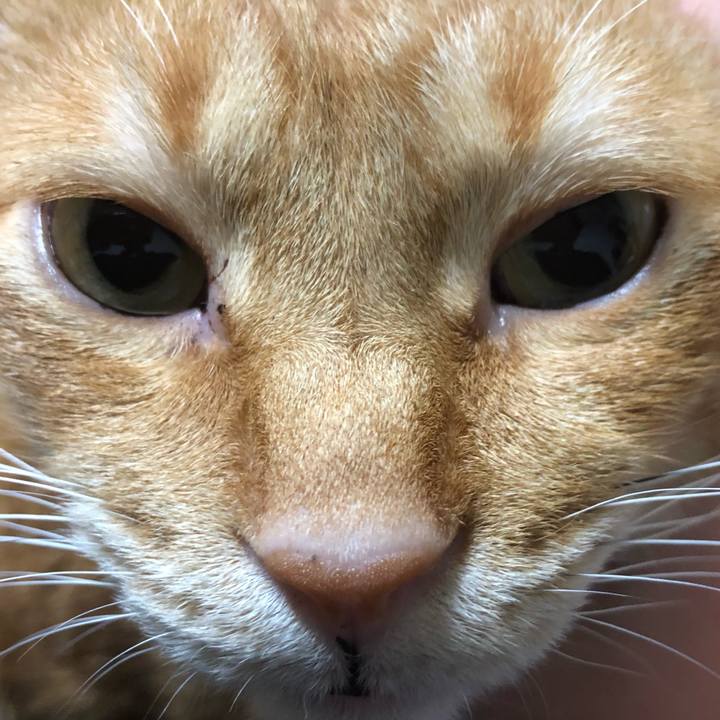 0d1960ed 7dce 4f38 b9dc cfa4cf1949a4 1607773437173