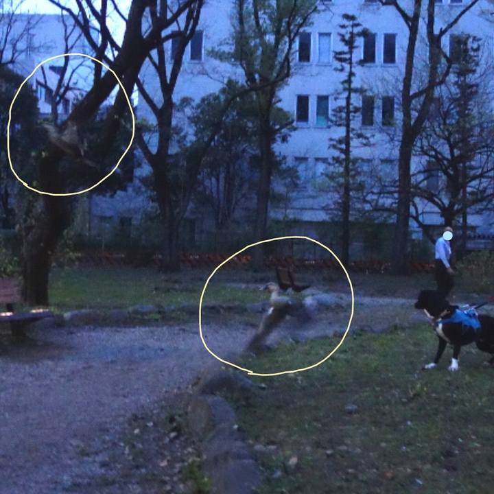 0d19d2a5 7c0d 4950 b99d 31e8a331b950 1617187299854