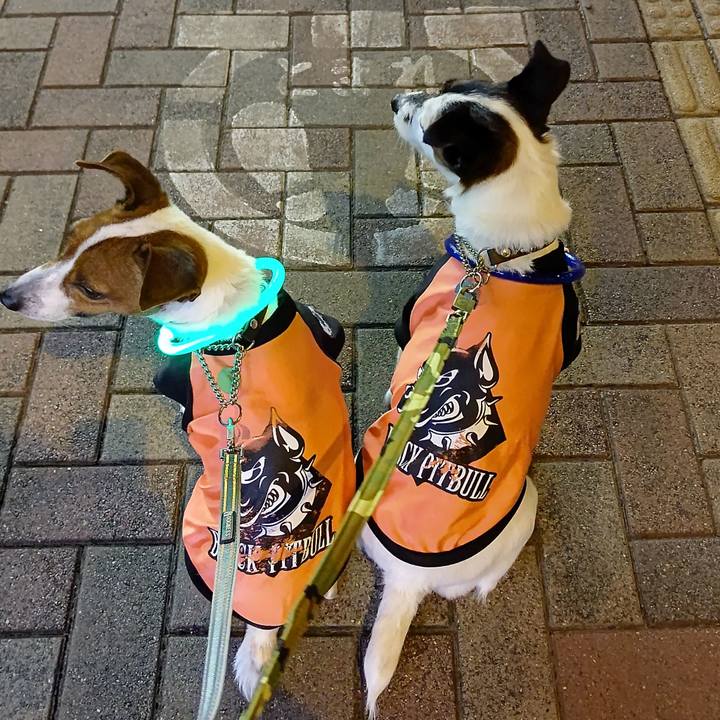 0d19d705 80da 470d aea6 984aae6b29f4 1664280164285