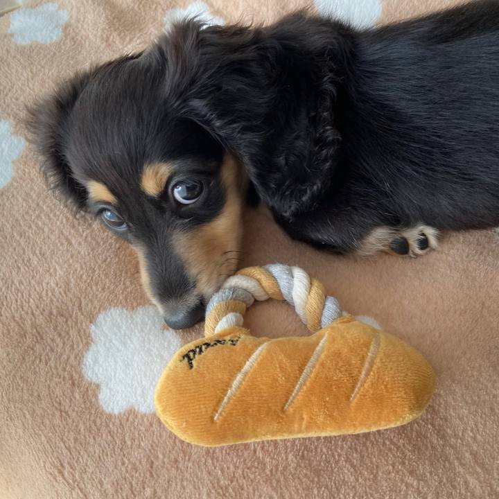 0d19fb6f 0011 46c2 9ac6 de96738b549c 1666141915080