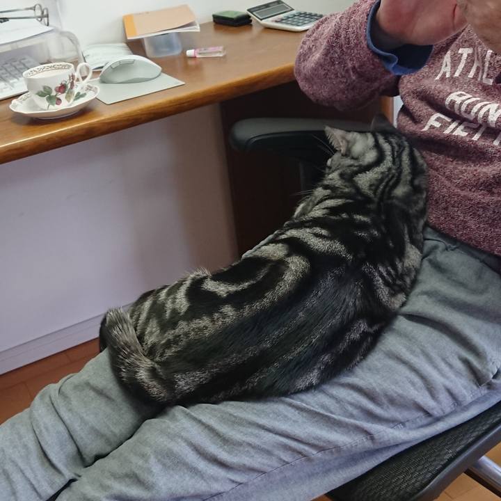 0d1a0298 29f9 4164 a02c c6a586d47815 1544496062719