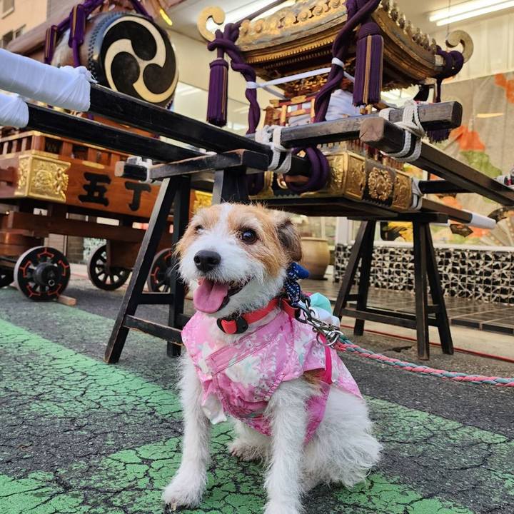 0d1a24a5 6cba 4e06 870f d3b80f8fce63 1693775219889