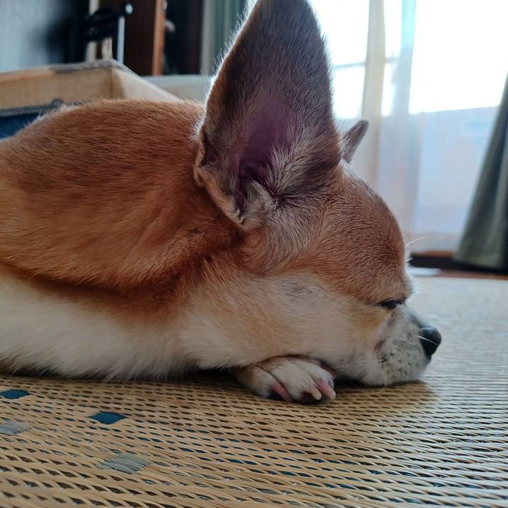 0d1a28b6 58a1 4a90 8140 89ff0095acb3 1752269641262