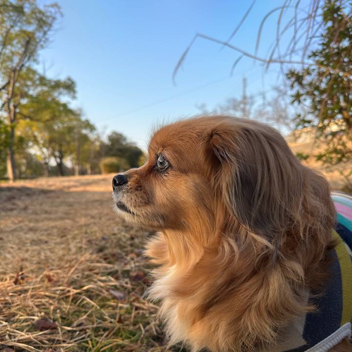 0d1a5f0b 28f9 492b 99af 768238161288 1704499080508