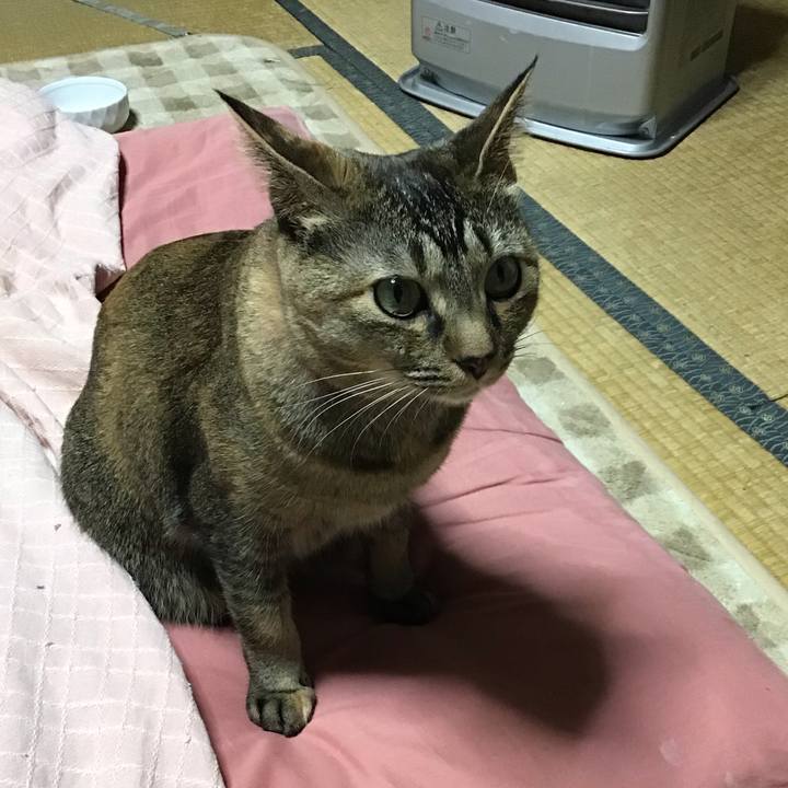 0d1a70ea aada 4e9b 98ed 8d234a1abfe6 1643448135767