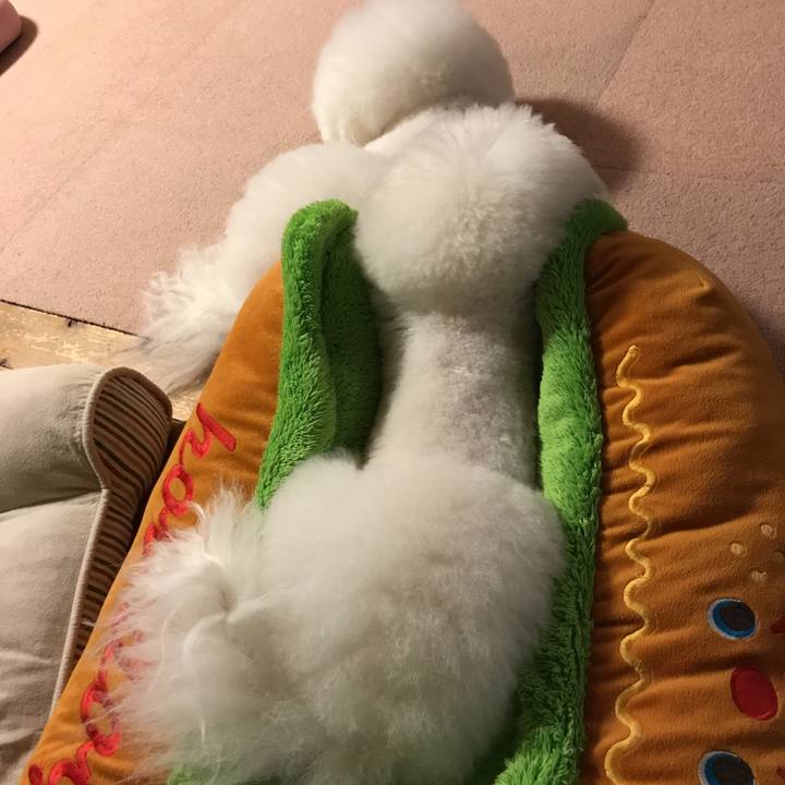 0d1a7f08 150e 49b0 9126 2776dc42229b 1535536536973