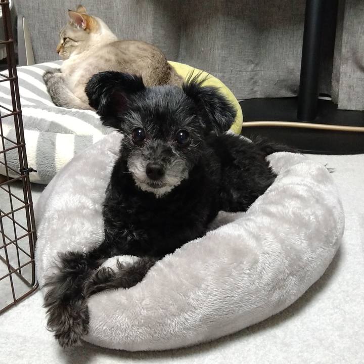 0d1ab581 10d1 42a9 8f90 72f6a9ce0ef2 1671879893291