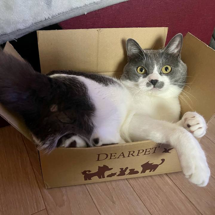 0d1b1266 c781 4a68 879a 0406d04ac557 1646986750905