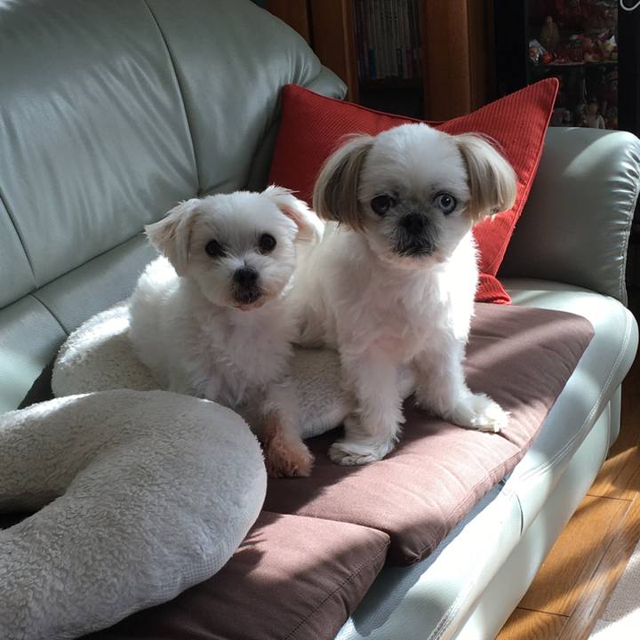 0d1b7551 239a 4605 b4af 3a4cc96214e3 1603689520029