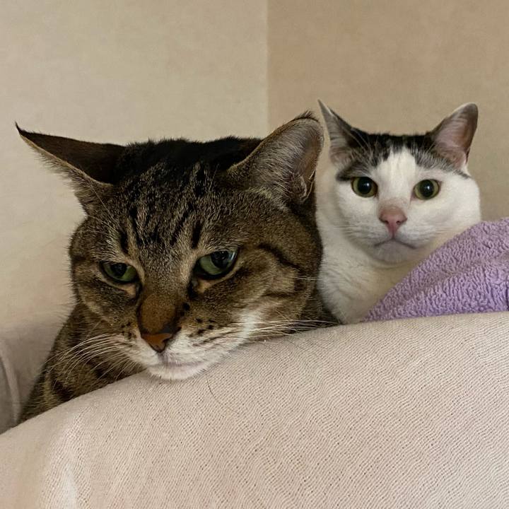 0d1b77d7 5f2a 40a1 a85e c1e522a847fe 1767939543064