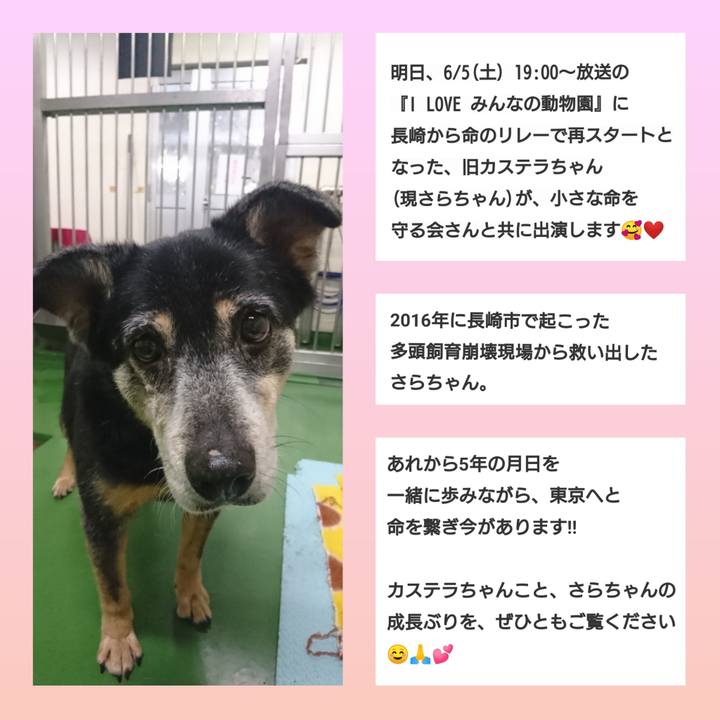 0d1b9497 602b 49cf 8c5b 646365be8613 1622886050028