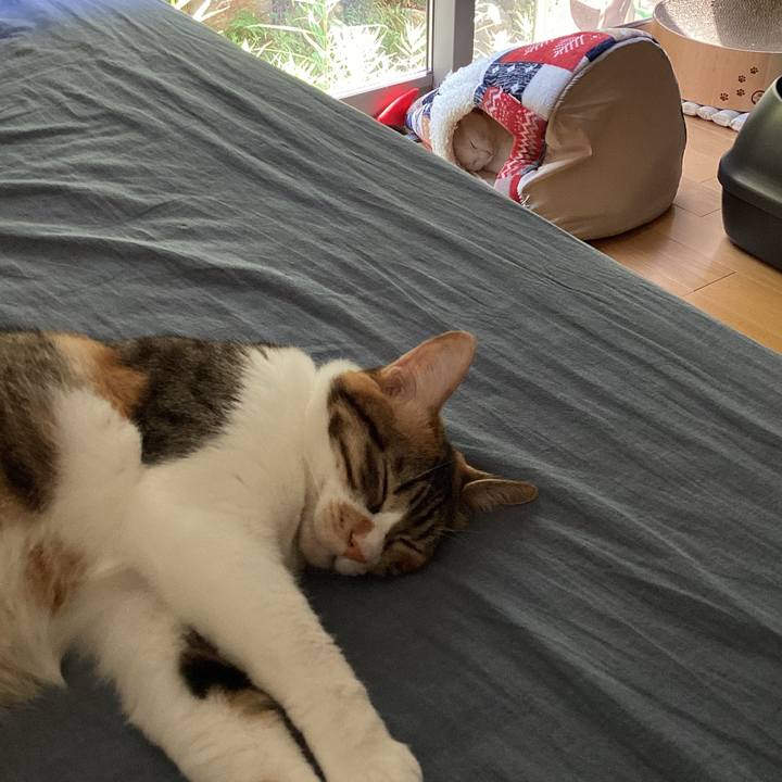 0d1b9f82 b19d 4aa0 b2a7 cc4f6e7f0c70 1689477745717