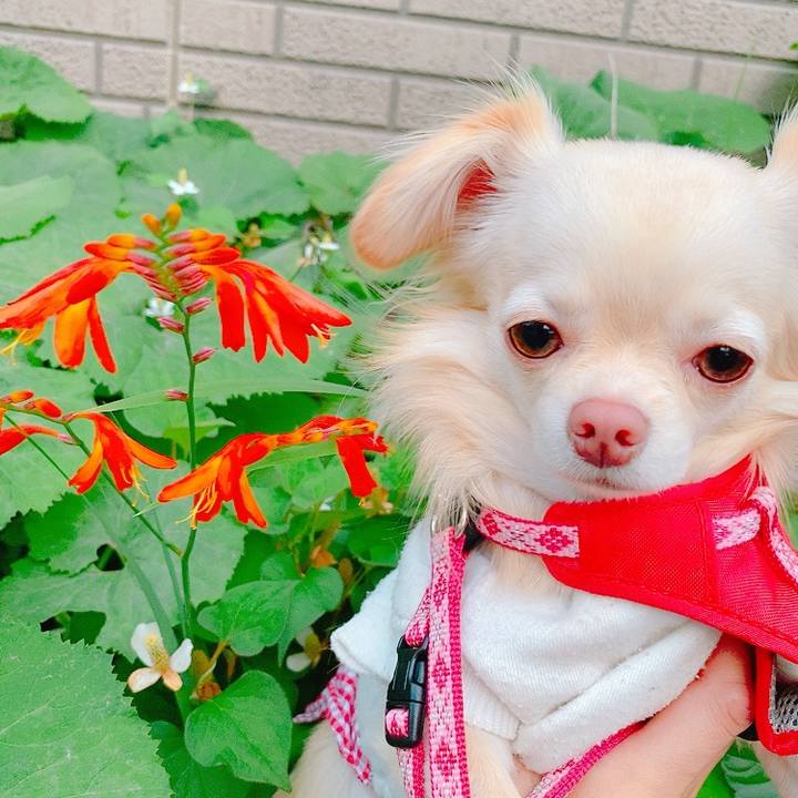 0d1bab15 3ad2 47bb 8b67 9d2aa3b970e2 1623135735800