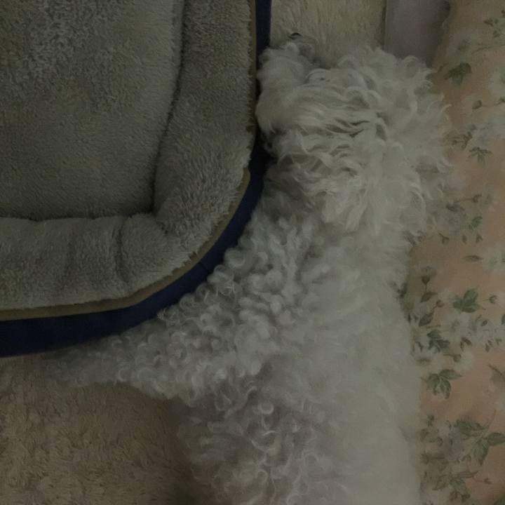 0d1bc13b d35a 4ae4 83fd 735d8e471bba 1541770773926