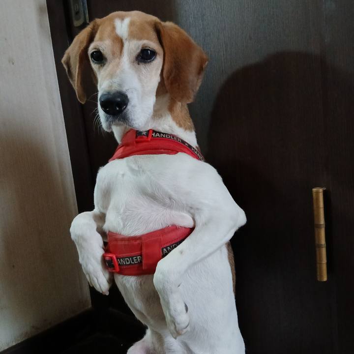 0d1bc9cf 1ff5 4eb5 aace 032f83c2dc12 1765677304597