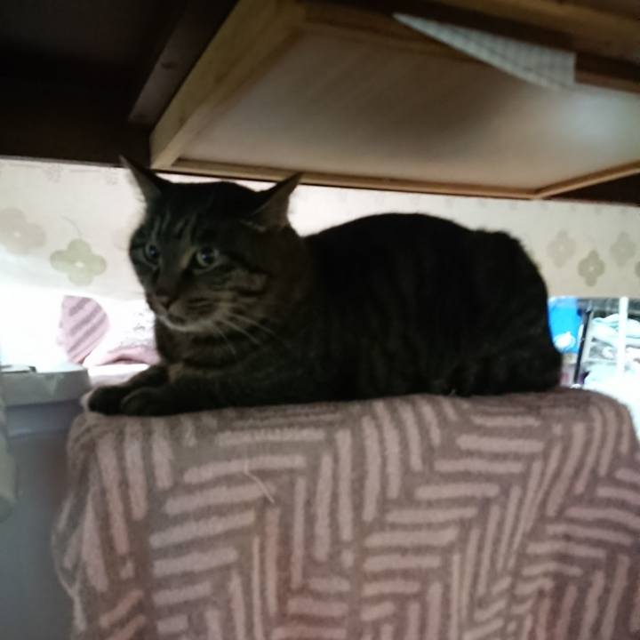 0d1be549 d28d 44b3 8630 1a85c86a85c6 1638132844452