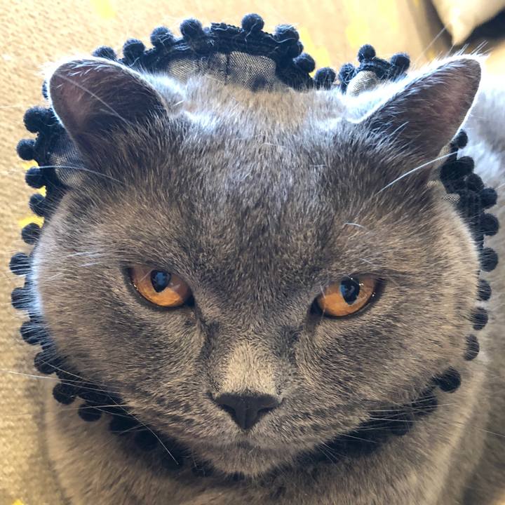 0d1bf83e 44b3 44a8 a8d5 40354a713aab 1538198455887