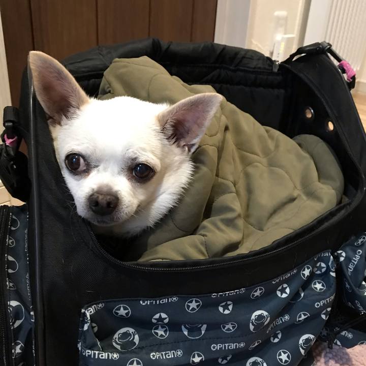 0d1c12ba 528e 4e47 943e f37de6662f71 1615958870022