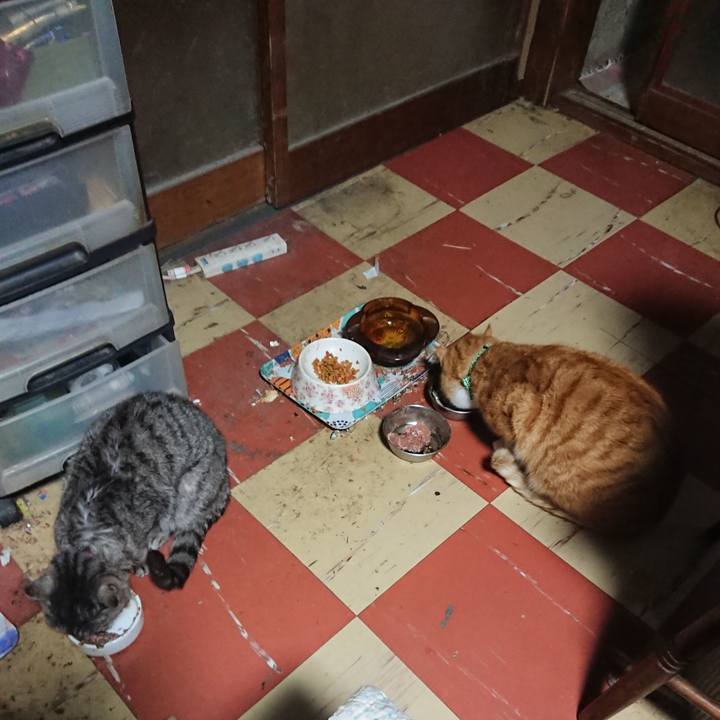 0d1c18dc 2574 4a43 a8fe d355382de553 1582142555665