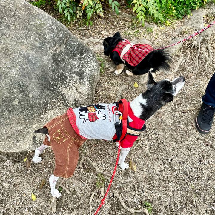 0d1c1e23 c397 4290 b193 61fb40bc9acc 1647833244223