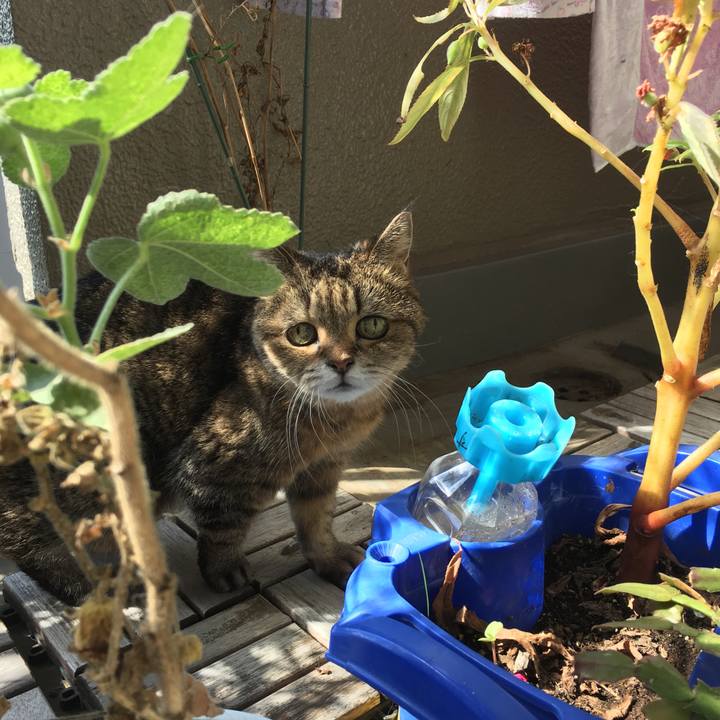 0d1c3615 19ac 4ef1 9494 22f6d4b4913b 1508319418532